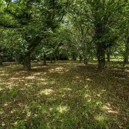 Nomad's Country - 4bed Casa De Macieira Villa *