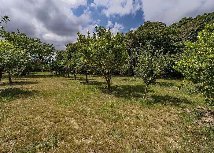 Villa Nomad's Country - 4bed Casa De Macieira *