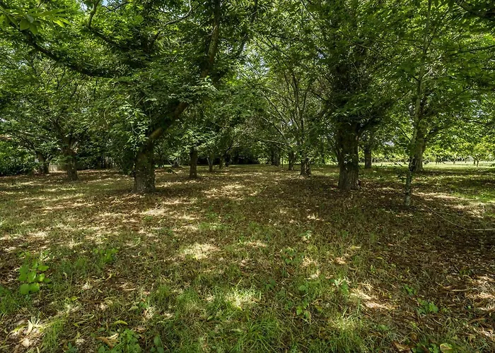 Nomad's Country - 4bed Casa De Macieira Villa *